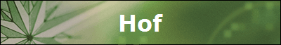 Hof