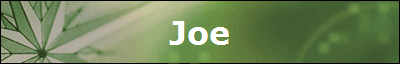 Joe
